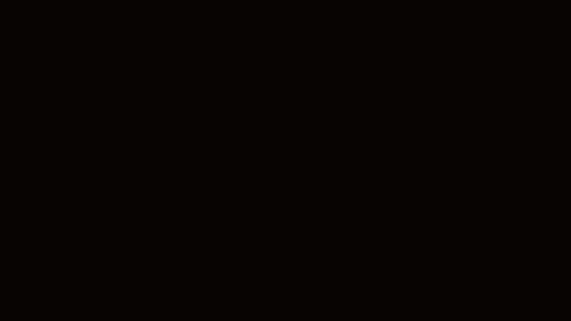 Artifact Image