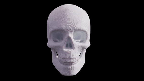 Artifact Image